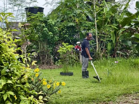 Man Trimming Grass with Backpack Brush Cutter Stock Photos