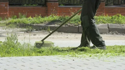 Man trimming grass in a garden using a lawnmower Stock Footage 77373014