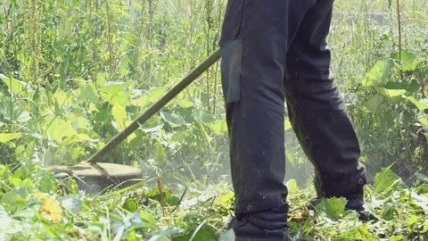 Man trimming grass in a garden using a lawnmower Stock Footage