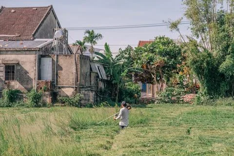 Man Trimming Overgrown Grass with String Trimmer in Rural Yard Stock Photos