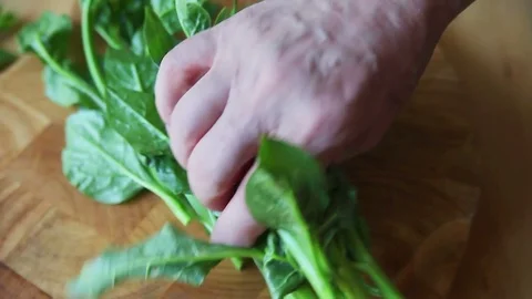 Man trims ends from Malabar spinach 스톡 동영상 77811337