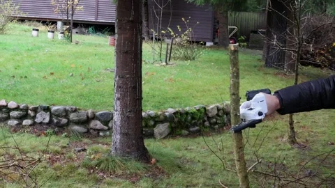 Man trims tree branches with cordless chain saw for pruning trees, right view 스톡 동영상 326966446