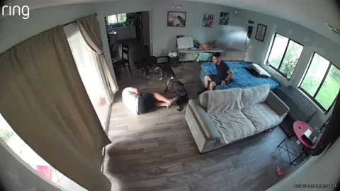 Man Trips Backwards Over Dog, Naples, Florida - 25 Jul 2025 Stock Footage 314583975