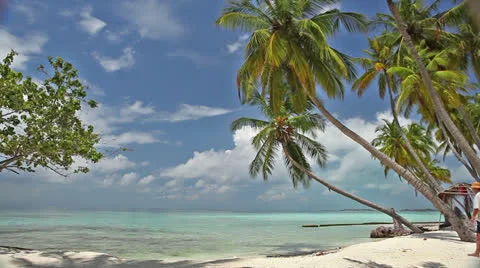 Man on the tropical beach Stock Footage 26780721