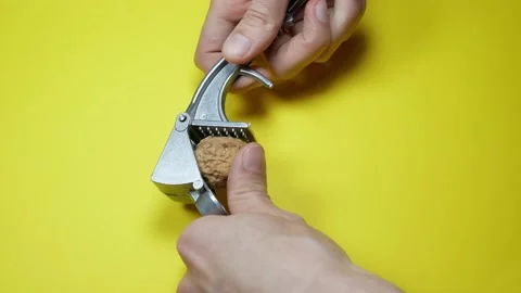 Man is try crashed Walnut with steel nutcracker Stock Footage 162884759