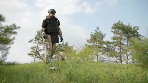 Man trying to detect mine in demining process in the grass near the pine trees Video stock 255056215