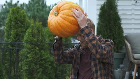 Man trying to put a pumpkin on his head while sitting in the garden 스톡 동영상 252047259