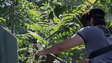 Man Trying To Remove Tangled Grass From Bad String Trimmer In Slow Motion Stock Footage 112873058