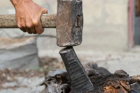 A man is trying to split a large stump.Harvesting firewood for the winter col Stock Photos