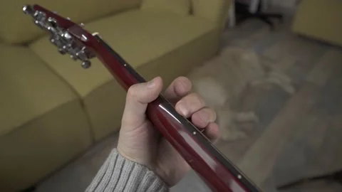 A man tuning a guitar next to his retriever. Point of View Shot. POV video. Stock Footage 237942908
