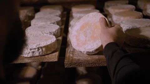 Man turning a Serra da Canastra Cheese that is being cured in a cellar Stock Footage 258684261