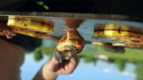 A man turns a piece of grilled chicken broll Stock Footage 136329853