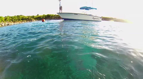 Man with turtles Video stock 42711645