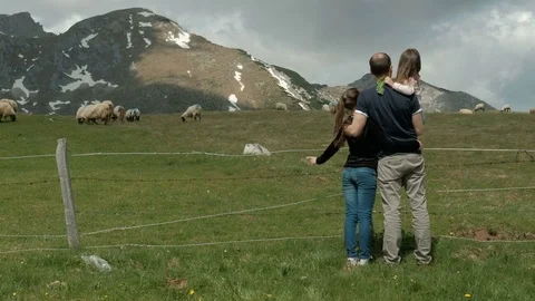 Man with two daughters looks at sheep on farm in countryside. Stock Footage 78708271