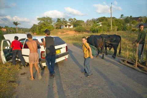Man with two oxen pulling sled past broken down Fiat car in the Valle de Viales, Stock Photos