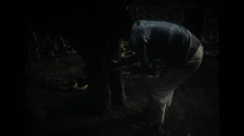 Man tying the elephant down Stock Footage 39857910