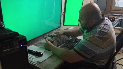 Man Typing on Keyboard Next to Completely Relaxed Cat Stock Footage 336542109