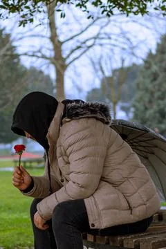 Man with umbrella sits under tree, holds red flower on park bench, rainy spring Stock Photos