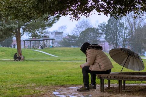 Man with umbrella sits under tree, holds red flower on park bench, rainy spring Stock Photos