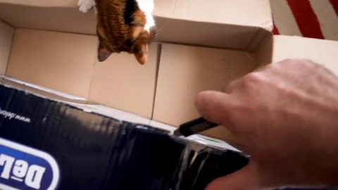 Man unboxing large cardboard box containing Italian DeLonghi convection heater Stock Footage 85911804