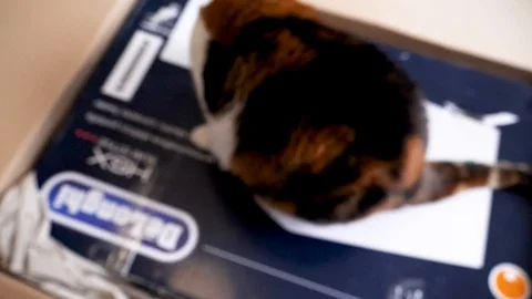 Man unboxing large cardboard box containing Italian DeLonghi convection heater Stock Footage 85911806