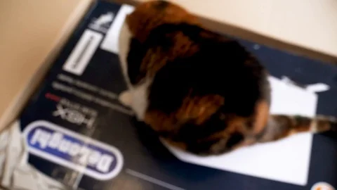 Man unboxing large cardboard box containing Italian DeLonghi convection heater Stock Footage 85911808