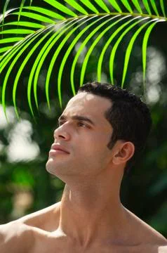 Man under palm leaf Stock Photos
