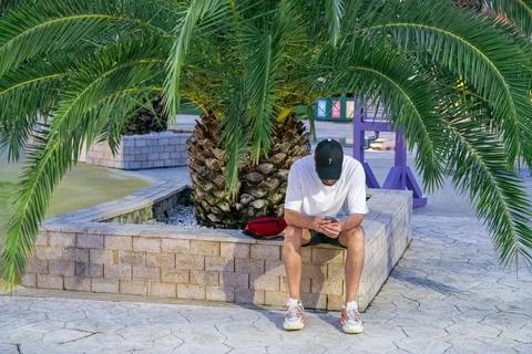 A man under a palm tree writes in a smartphone Foto stock