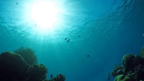 The man under the water. Stock Footage 84270864