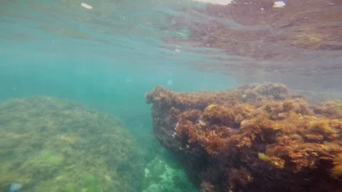 Man is under water Video stock 102020231