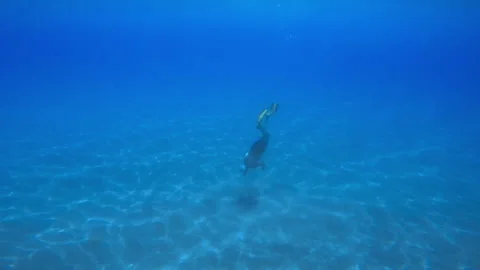 Man Underwater in the ocean With Speargun Stock Footage 246525558