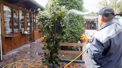 Man in uniform washes an artificial tree in the summer cafe. cleaning with water Vidéo 125999005