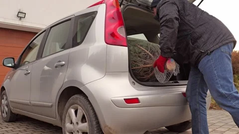 Man unloading Christmas Tree from Car Trunk Outside Home During Winter Stock Footage 295995434