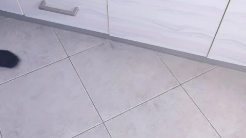 Man unloading dishwasher and taking out white utensil and cutlery from basket. Stock Footage 116374696