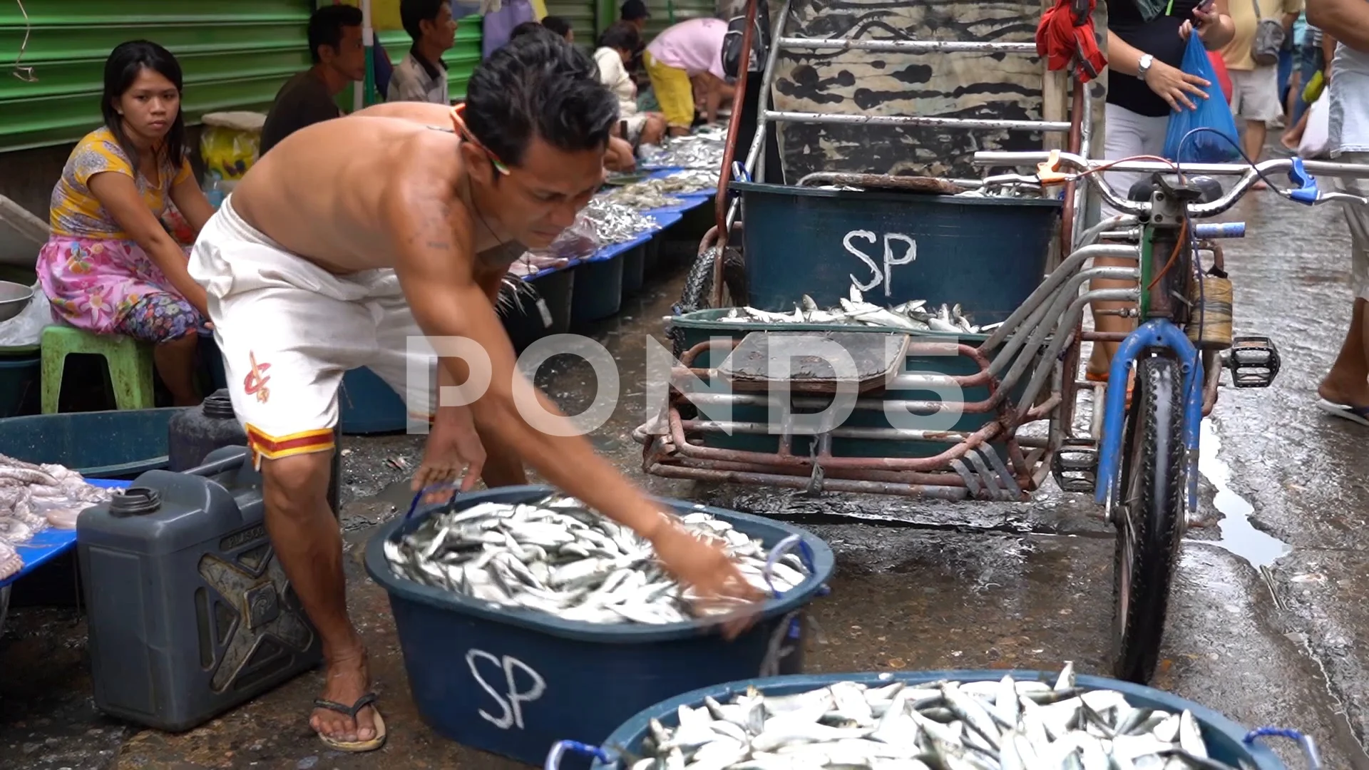 Man unloading small fish from a cart in , Stock Video