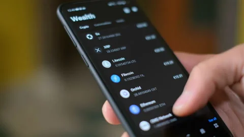 Man use crypto currency app on a smartphone,trading exchange,digital business Stock Footage 153245337