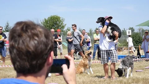 Man use Mobile Phone to record Video of Dog Tricks Festival Stock Footage 111524904
