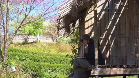 Man use tablet and work at country cabin with pink cherry blossom tree Stock Footage 267069029