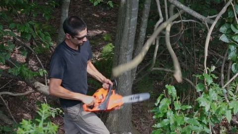 Man uses chainsaw on branches while trimming trees &amp; landscaping on farm Video stock 117743419