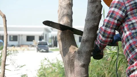 Man uses a chainsaw to cut the tree. Man cutting logs of wood Stock Footage 303429573
