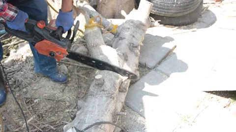 Man uses a chainsaw to cut the tree. Man cutting logs of wood Stock Footage 303429587