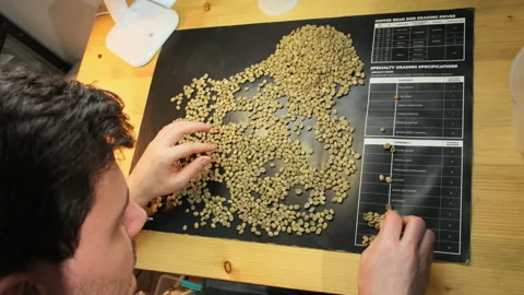 Man uses fingers to sift through coffee beans scattered on table Video stock 317092660