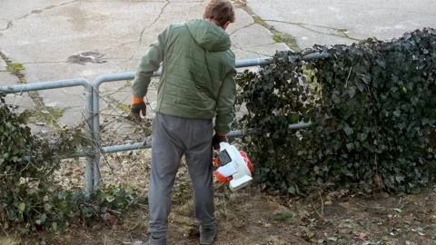 A man uses a gasoline leaf blower to clear yard debris along a metal fence, Stock Footage 346483332