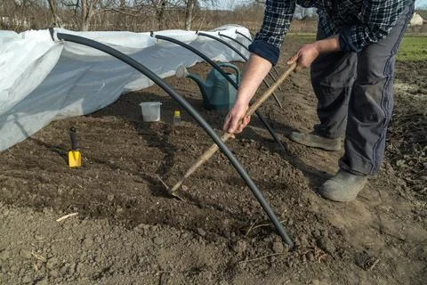 A man uses a hoe to prepare the soil for planting seeds in a greenhouse. A .. Stock Photos