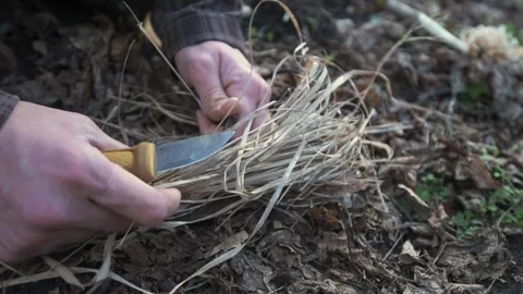 A man uses a knife and firestarter to create sparks and ignite a fire in dry Stock Footage 290868173