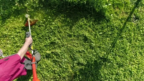 Man using accumulatory garden trimmer for grass Stock Footage 158022322