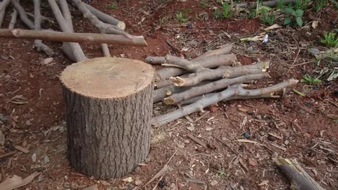 A Man Using An Ax To Chop Wood For A Fire. Outdoor Recreation Stock Footage 93016804