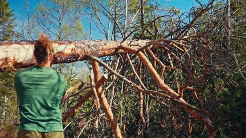 Man Using Axe on Fallen Tree Trunk - Norway Stock Footage 345529660