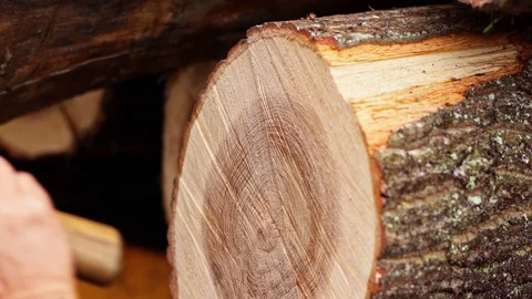 Man using Axe Hitting Wood Log Close Up Detail Super Slow Motion Vídeo Stock 128491725