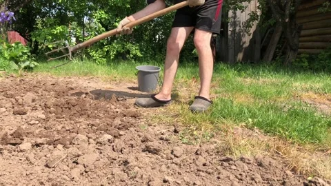 Man using a big shovel for digging old lawn. Gardening in autumn or spring time Stock Footage 111718857